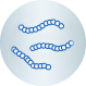 proteins