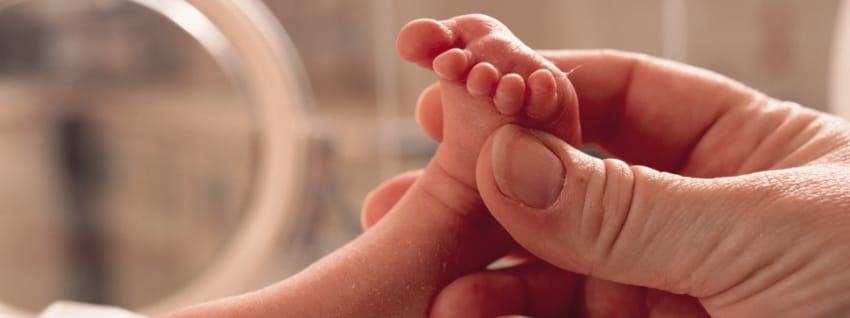 Parent holdIng foot of preterm baby