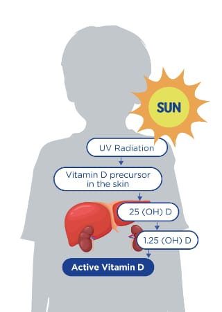 Vitamin D boy in sun diagram