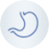 Gut