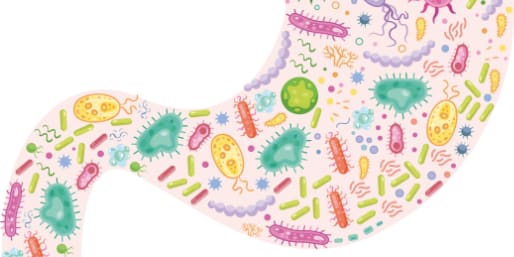 infant gut health and the microbiome