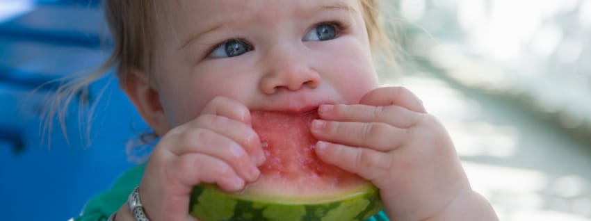 Baby eating watermelon slice