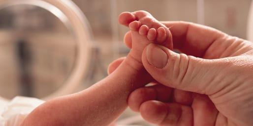 Parent holdIng foot of preterm baby