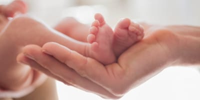 Adult hand supporting preterm baby feet